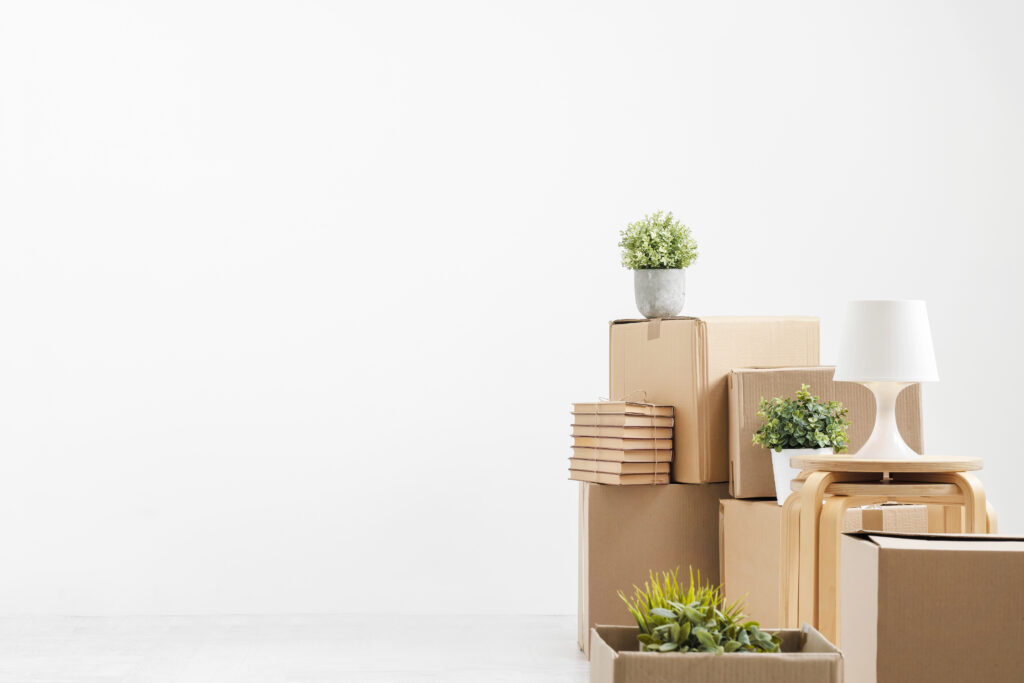 Your Eco-Friendly Moving Guide with Flexistore Self-Storage 4 Adobestock 253146256 storpro